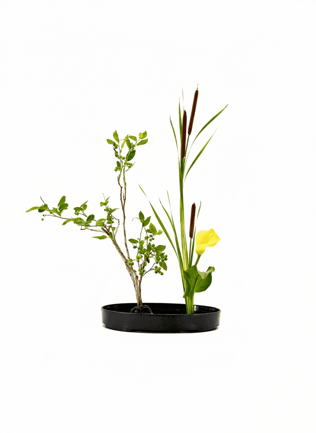 Shoka Shofutai Sanshuike