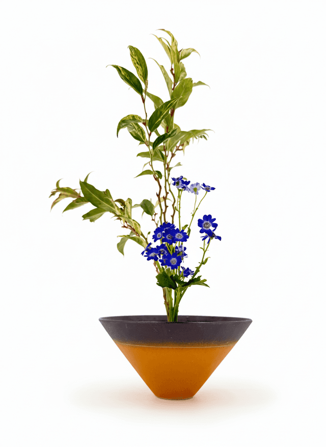 Shoka Shofutai Nishuike