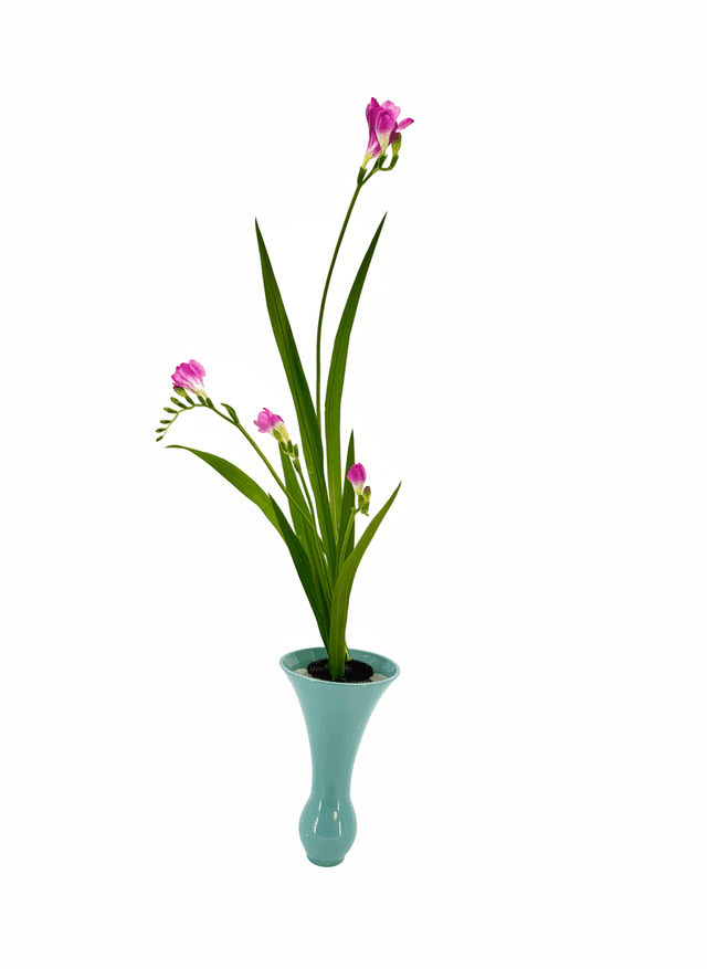 Shoka Shofutai Ishuike